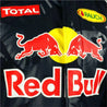 2016 Max Verstappen Race Red Bull Racing F1 Suit - Vintage F1 Racewear